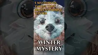 Chilling Winter Mysteries: 5 Enigmatic Phenomena That Defy Explanation