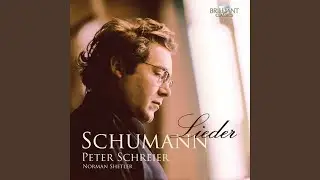 12 Gedichte, Op. 35: No. 3, Wanderlied