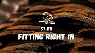 AGGRESSIVE! Style Turkey Hunting