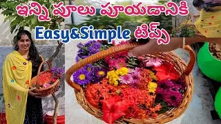 get more blooms in flower plants | get more flowers | flower garden | eetharam illalu