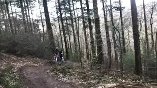 Shredding the gnar at local woods