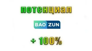 Акции компании BAOZUN ( BZUN )