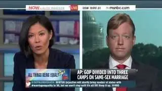 Log Cabin Republicans / Now with Alex Wagner / Supreme Court & GOP Leadership