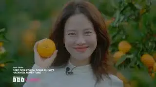 Deep Dive Korea: Song Ji-hyo's Haenyeo Adventure | New Series | BBC Player