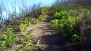 Ale sul Monte Porri