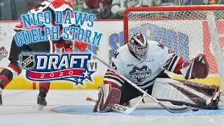 2020 NHL Draft Prospect Profile: Nico Daws - Guelph Storm