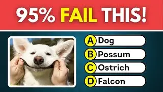 Animal IQ Test 🧠 | Ultimate Animals Trivia Quiz
