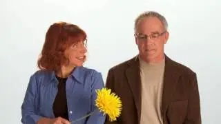 Petals