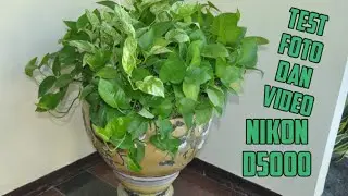 Hasil Foto Dan Video Nikon D5000 || Sample Image And Video Test Nikon D5000