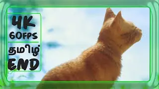 Stray 4K Tamil Walkthrough Ending | தமிழ் Gameplay Control Room 12