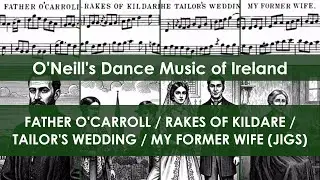 DMOI107-110 Father O'Carroll/Rakes of Kildare/Tailor's Wedding/My Former Wife (Jigs on tenor banjo)