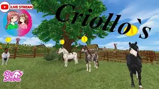 Live🔴 SSO ☆ Server 5 - Cloudy Rock ☆ Die neuen Criollo&acute;s sind da