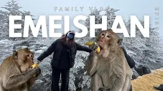 NEARLY GETTING ATTACKED BY WILD MONKEYS IN CHINA - Chengdu Vlog Episode 2