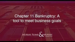 Chapter 11 Bankruptcy: A tool to meet business goals