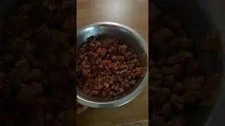 Black German Shepherd Feed Time WATCH His Reaction Repetition Works