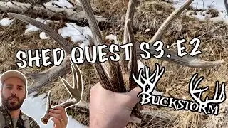 Shed Hunting the Black Hills | SHED QUEST S3: EP2