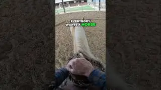 Train Your Horse to Stay Calm and Focused