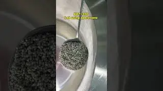Seed coating process#coater #coating #film #machine #seedpowder #pellet #seedprocessing #equipment