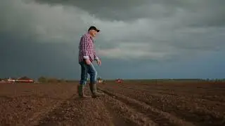 Harris Seeds - American Born & Bred