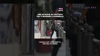 🚨 Une attaque au couteau &agrave; Marseille fait 5 bless&eacute;s : ce que l&rsquo;on sait｜TF1 INFO