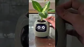 Bring Fun to Your Plants with the Smart Emojis Planter ! 🌱😎