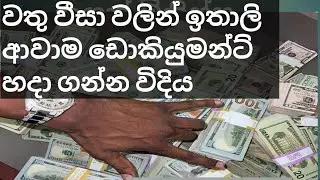 වතු වීසා වලින් ඉතාලි ආවාම ඩොකියුමන්ට් හදා ගන්න විදිය මුල ඉදන්ම හැම දෙ ගැනම පිලිවලට පැහැදිලි කිරීමක්.