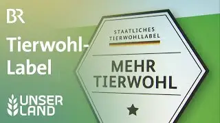 Staatliches freiwilliges Tierwohllabel in der Kritik | Unser Land | BR Fernsehen