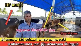 தினமும் 120 லிட்டர் பால் 11மாடுகள்,தினசரி வருமானம்#Mini dairy farms