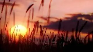 Aging  #affirmations #age #positiveaffirmations #selfworth