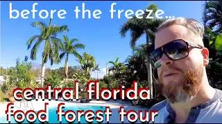 TRANQUIL FLORIDA FOOD FOREST TOUR 2025 DECEMBER - BACK FROM AFRICA -LEAVING FOR A NEW FOOD ADVENTURE