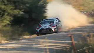 Jari mati latvala tanti 2017 argentina
