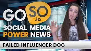SOCIAL MEDIA NEWS TODAY - Failed Canine Instagram Influencer
