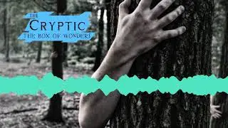 The Cryptic Ep  3 &mdash; The Box of Wonders