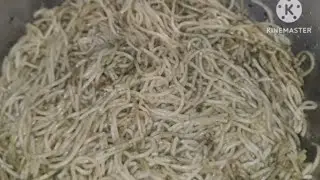 Garlic Butter Green Noodles.p