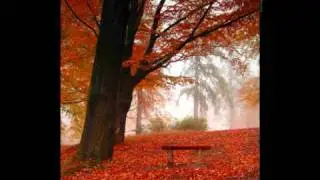 Haiku - Franco Battiato