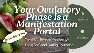 Your Ovulatory Phase Is a Manifestation Portal (No One Told Us This)