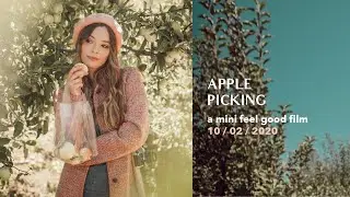 Apple Picking at Riley's Farm in Oak Glen (Yucaipa) #shorts