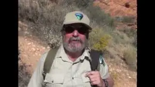Red Cliffs National Conservation Area NPLD Graffiti Removal