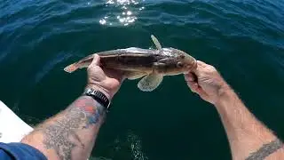Fishing soothes your soul.