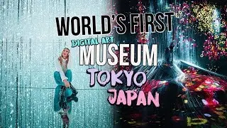 WORLD&rsquo;S FIRST DIGITAL ART MUSEUM: teamLAB Borderless TOKYO JAPAN