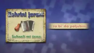Zehrini jarani - Ja bi' da poljubim - (Audio 2004)