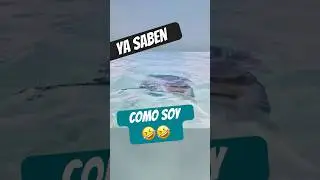 Why give me a credit card if I can&rsquo;t pay? 🤯 Meanwhile in Cozumel: rays, sea & paradise!