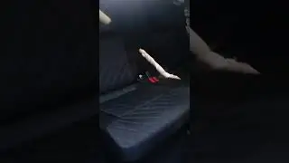 TRASHED interior made new! #shorts #cardetailing #trending