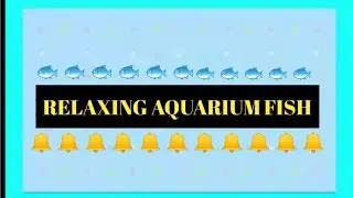 Relaxing Aquarium Fish | Saimon Macabagdal,