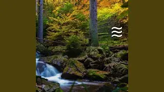 Soft Brown Nature