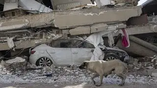 Zahl der Erdbeben-Opfer steigt auf &uuml;ber 40.000