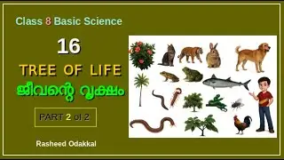 Class 8 BS Chapter 16 (Bio 4) Part 2 of 2 by Rasheed Odakkal