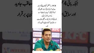 PCB Selection Committee #cricket