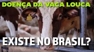 Doença da Vaca Louca