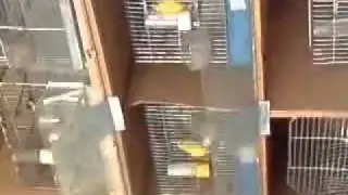 MOV00918